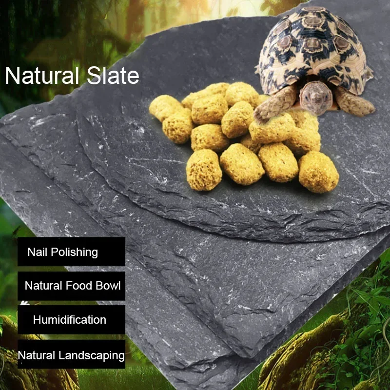 Aquarium Fish Food - 天然スレート水族館のペットのガソリン式フィーダー、フードボウル、ウォーターポット、タートルトルイズ亀スコーピオンliardcrabs、ボウル用品、10cm