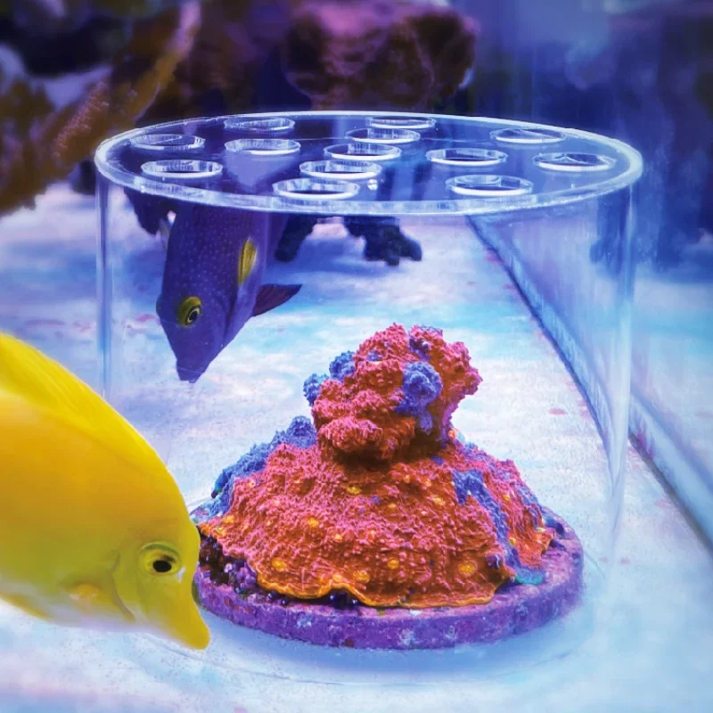 Aquarium Fish Food - ヴァストオーシャン水族館 アクリル製サンゴフィーダーフード 液体肥料添加ツール リーフ淡水魚水槽用サンゴ給餌フード