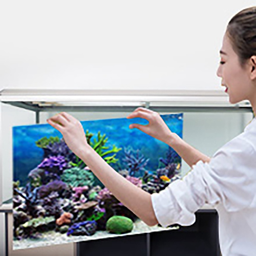 Aquarium Fish Poster - PVC水槽背景ポスター 粘着式 厚手 3D水槽背景 3D効果 魚タンク装飾