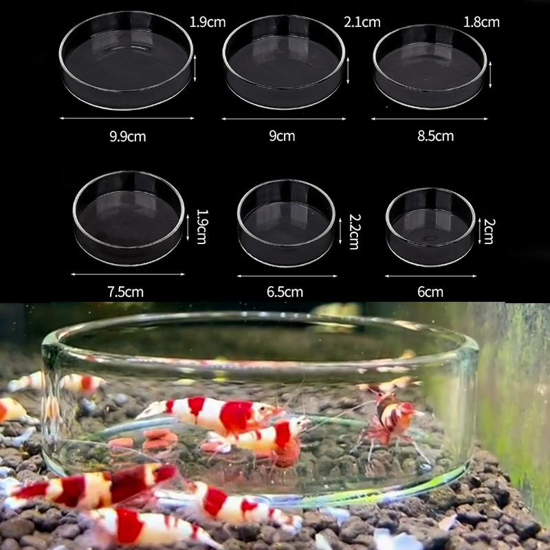 Aquarium Fish Food - エビ給餌皿高透明ガラス給餌皿魚用タンククリアフィーダーボウル水族館の水槽爬虫類フィーダー