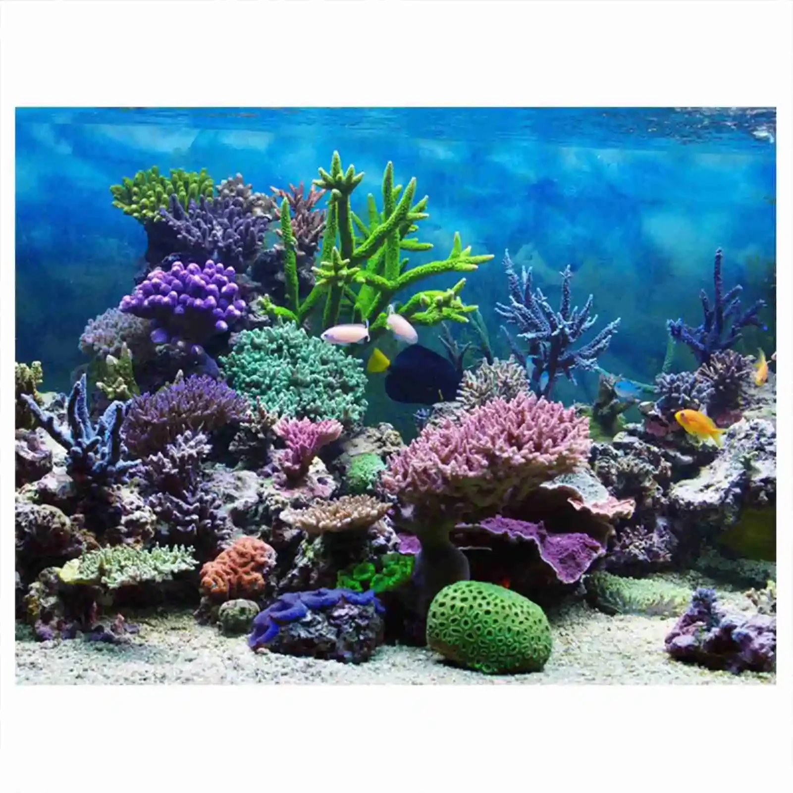 Aquarium Fish Poster - 熱帯雨林の壁紙,水族館の背景,PVC装飾,3D風景HDポスター