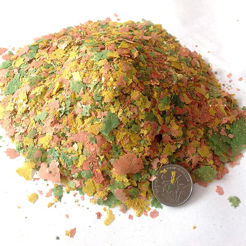 Aquarium Fish Angel - 観賞魚薄切り食品熱帯魚の餌カラフルな魚の餌レインボーエンジェルフィッシュフード水族館アクセサリー