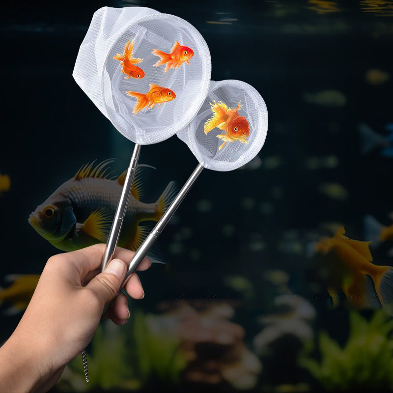 (BF06)水族館の魚釣り網ステンレス鋼格納式小型エビ釣り網 - Aquarium Fish Net のレビューと価格