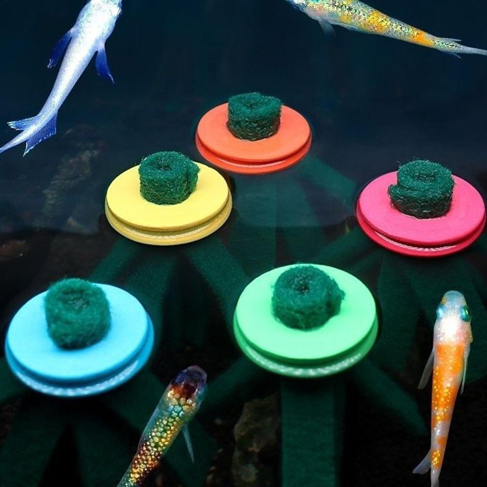 10個入り水槽産卵モップ装飾用繁殖用フローティングエッグコレ - Aquarium Fish Food のレビューと価格