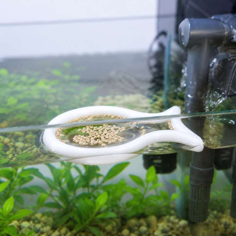 魚の形をした浮遊式餌リング 水槽用魚の餌濃縮サークル 魚タン - Aquarium Fish Food のレビューと価格