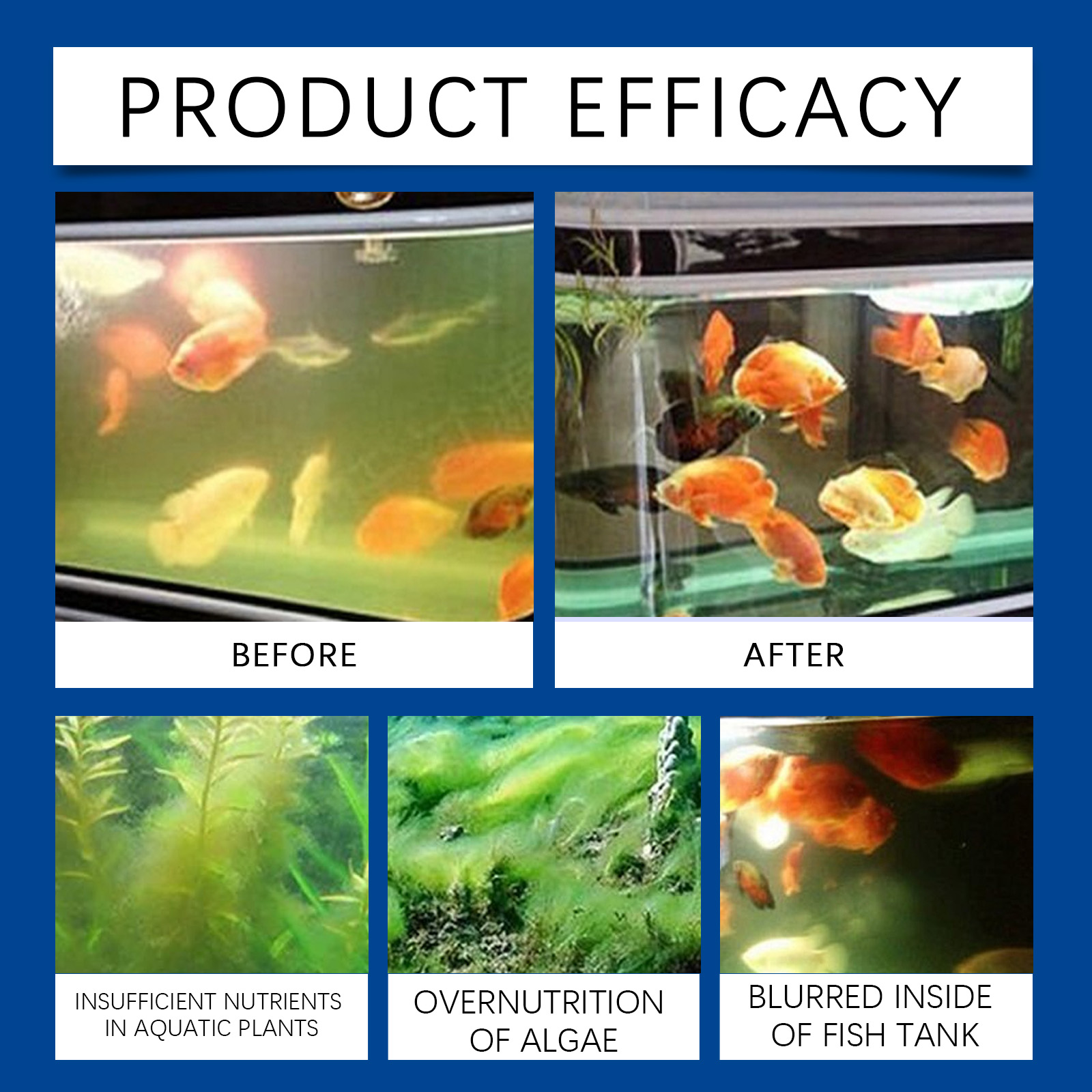 水族館の水精製器 100 ミリリットル淡水海水水槽クリーナー - Aquarium Fish Waste Collector のレビューと価格