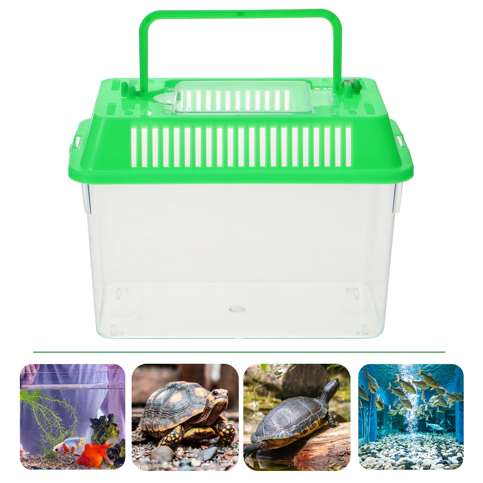 プラスチック製の手持ちミニ水槽、ペットの魚、金魚、ベタ用の携 - Aquarium Fish Green のレビューと価格