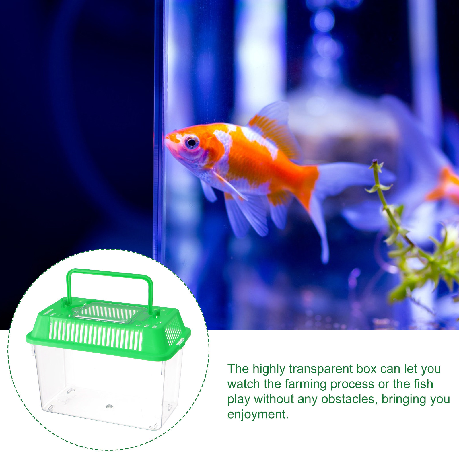 プラスチック製の手持ちミニ水槽、ペットの魚、金魚、ベタ用の携 - Aquarium Fish Green のレビューと価格