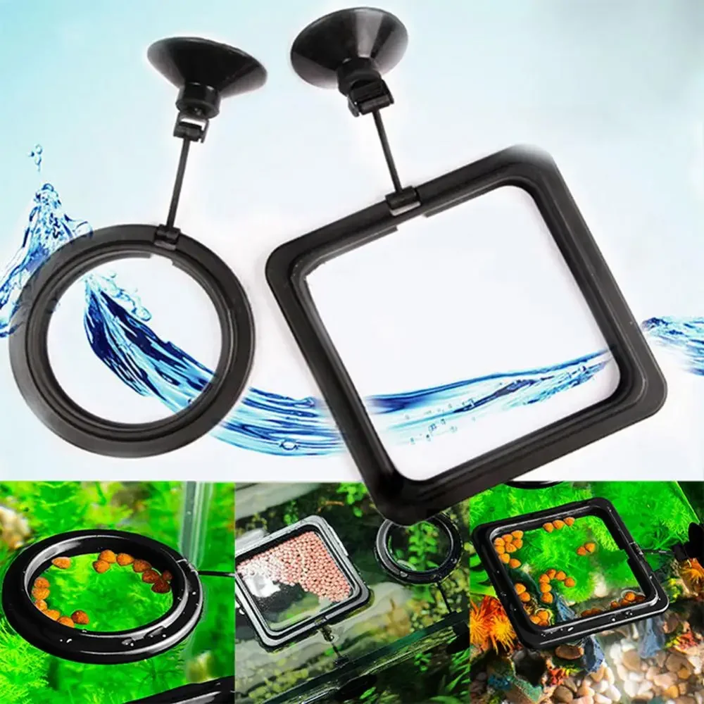 フィード吸盤水族館給餌リング水槽ステーションフローティングフ - Aquarium Fish Food のレビューと価格