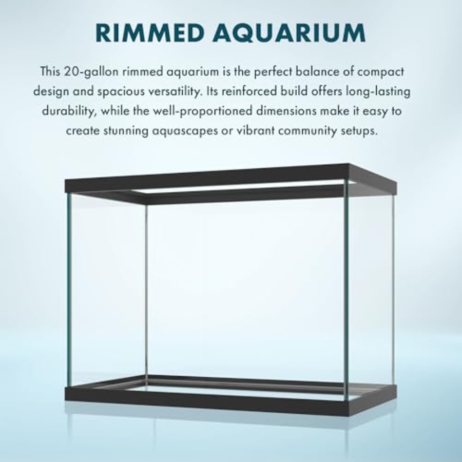 20ガロンガラス水槽 - 24 x 12.5 x 17.25 - Aquarium Fish Big のレビューと価格