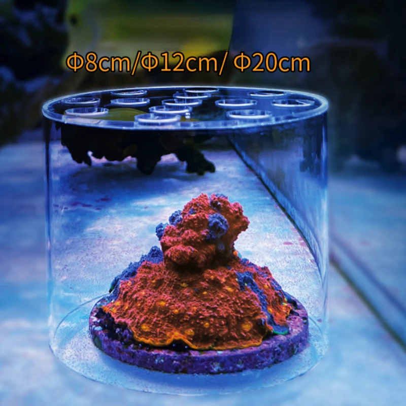 ヴァストオーシャン水族館 アクリル製サンゴフィーダーフード  - Aquarium Fish Food のレビューと価格