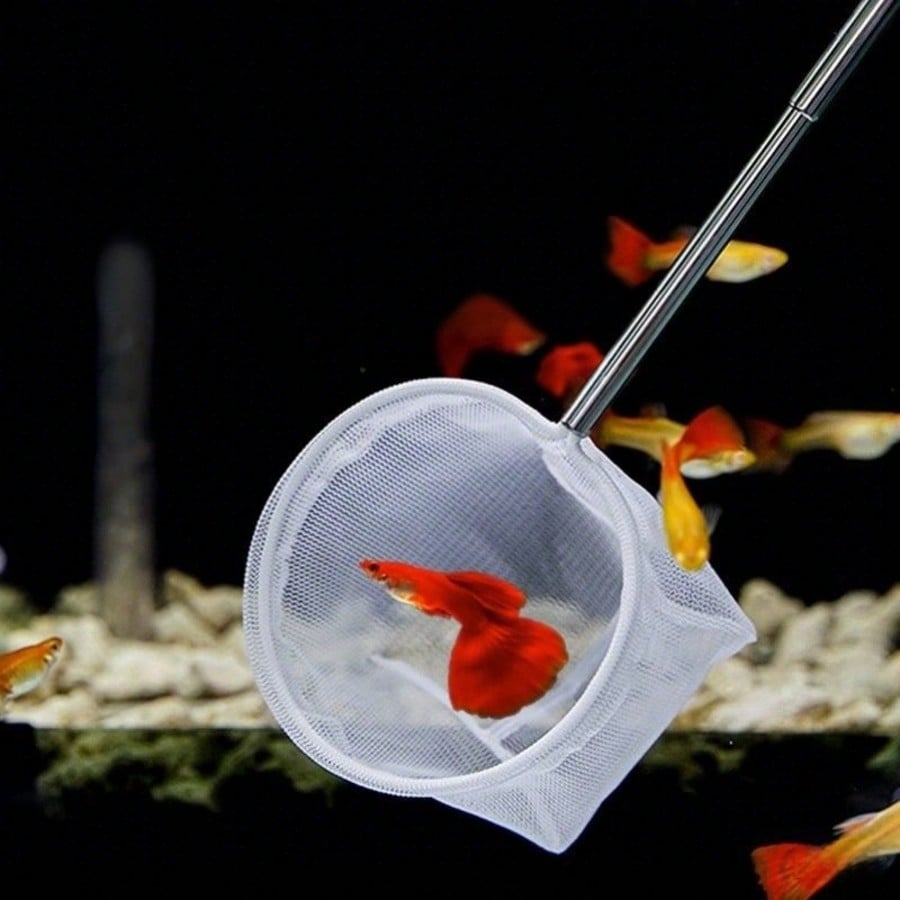 水槽用魚網 - 魚の稚魚やエビ用の伸縮式密網、多目的魚餌スク - Aquarium Fish Net のレビューと価格