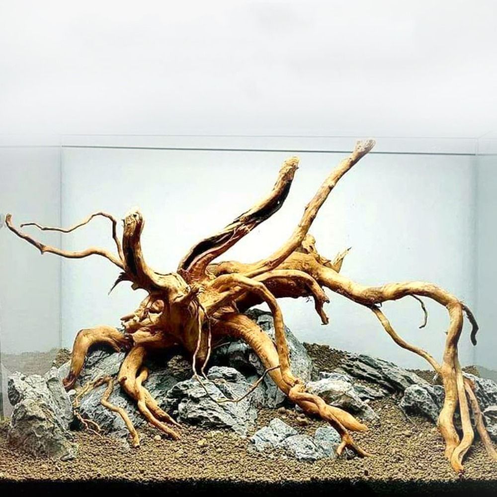 20-25CM大型水槽流木天然魚タンク植物装飾ツリーフィッシ - Aquarium Fish Big のレビューと価格