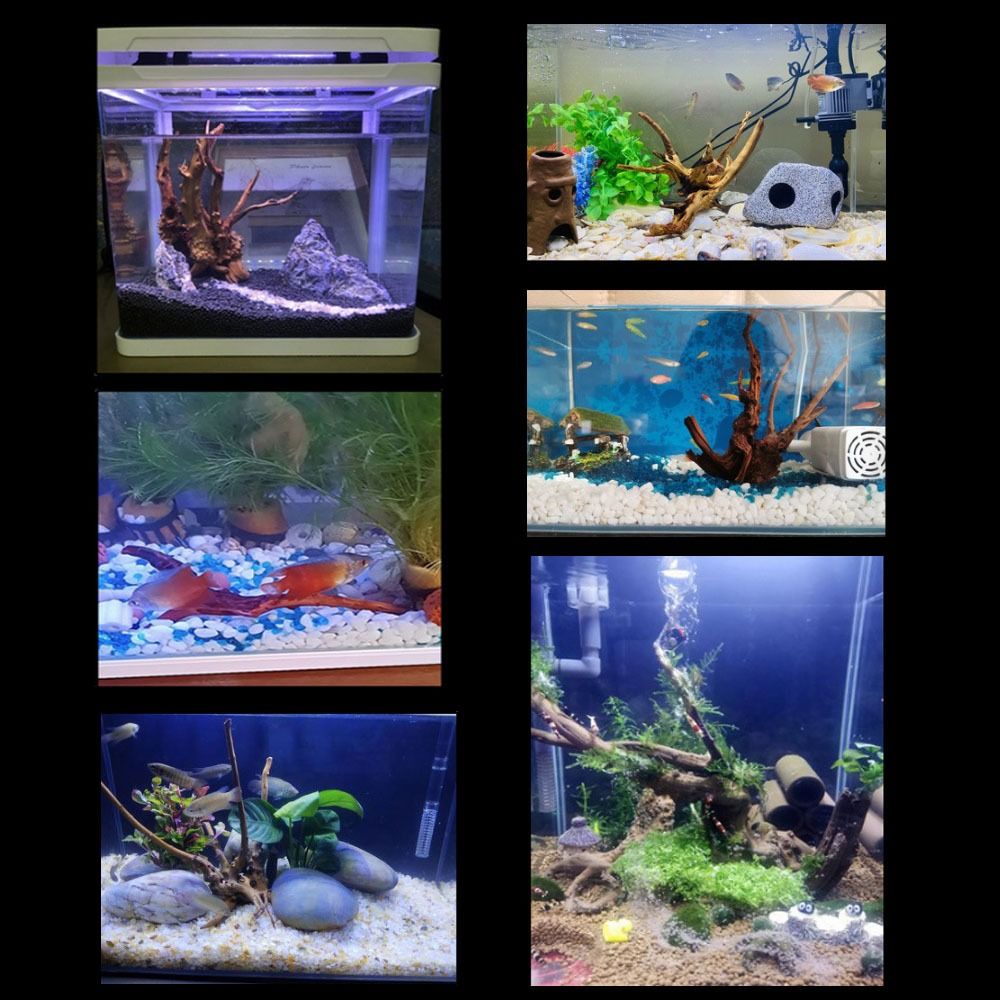 20-25CM大型水槽流木天然魚タンク植物装飾ツリーフィッシ - Aquarium Fish Big のレビューと価格