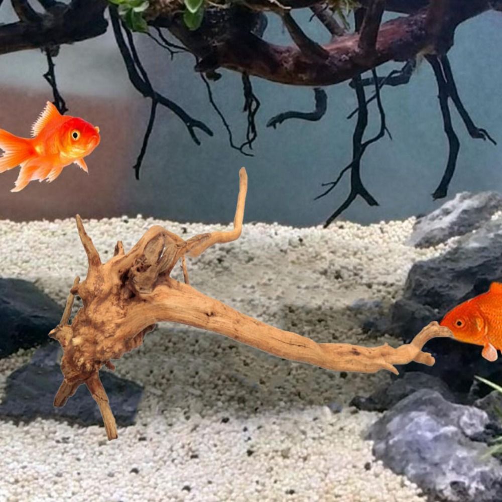 20-25CM大型水槽流木天然魚タンク植物装飾ツリーフィッシ - Aquarium Fish Big のレビューと価格