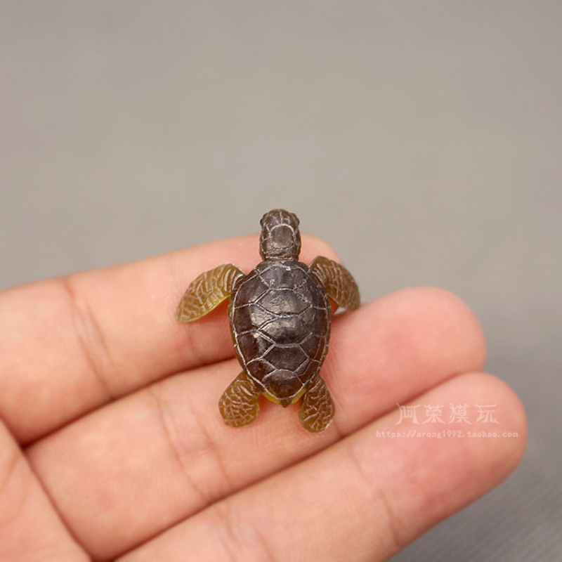 マリンライフ海の形をしたアクションフィギュア,装飾的なカメモ - Aquarium Fish Japan のレビューと価格