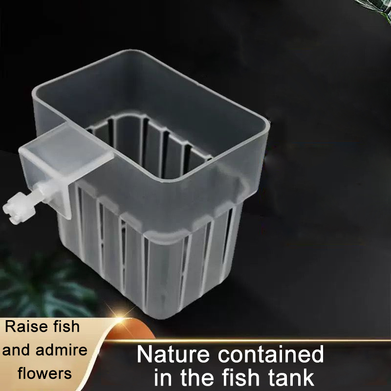 水槽用透明水耕栽培バスケット 壁掛け式上陸植物スタンド -  - Aquarium Fish Big のレビューと価格
