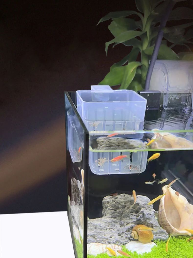 水槽用透明水耕栽培バスケット 壁掛け式上陸植物スタンド -  - Aquarium Fish Big のレビューと価格