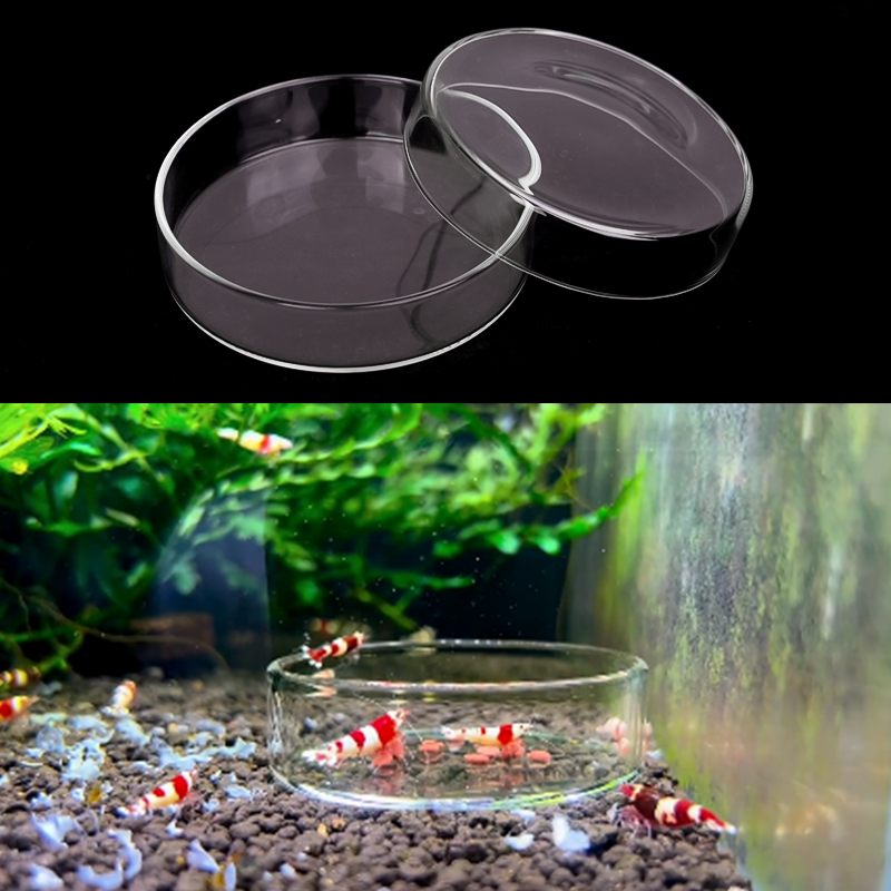 エビ給餌皿高透明ガラス給餌皿魚用タンククリアフィーダーボウル - Aquarium Fish Food のレビューと価格