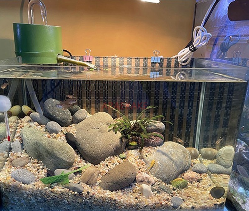 円形ミニ水槽一体型生態水浄化サイクル、3 in 1自動循環、 - Aquarium Fish Waste Collector のレビューと価格