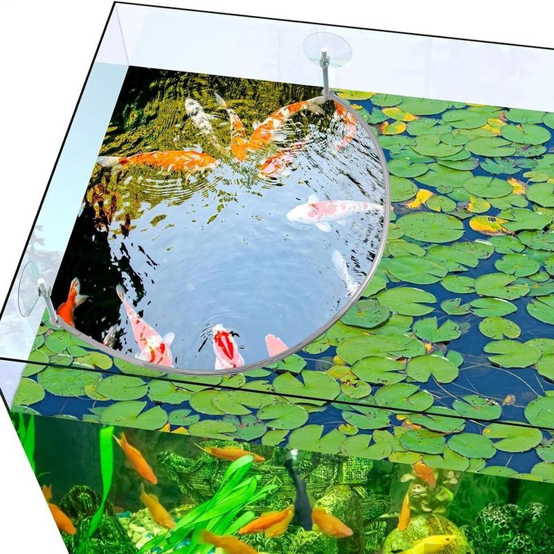 浮遊植物囲い魚の給餌リングは浮遊植物を分離して保護します給餌 - Aquarium Fish Food のレビューと価格