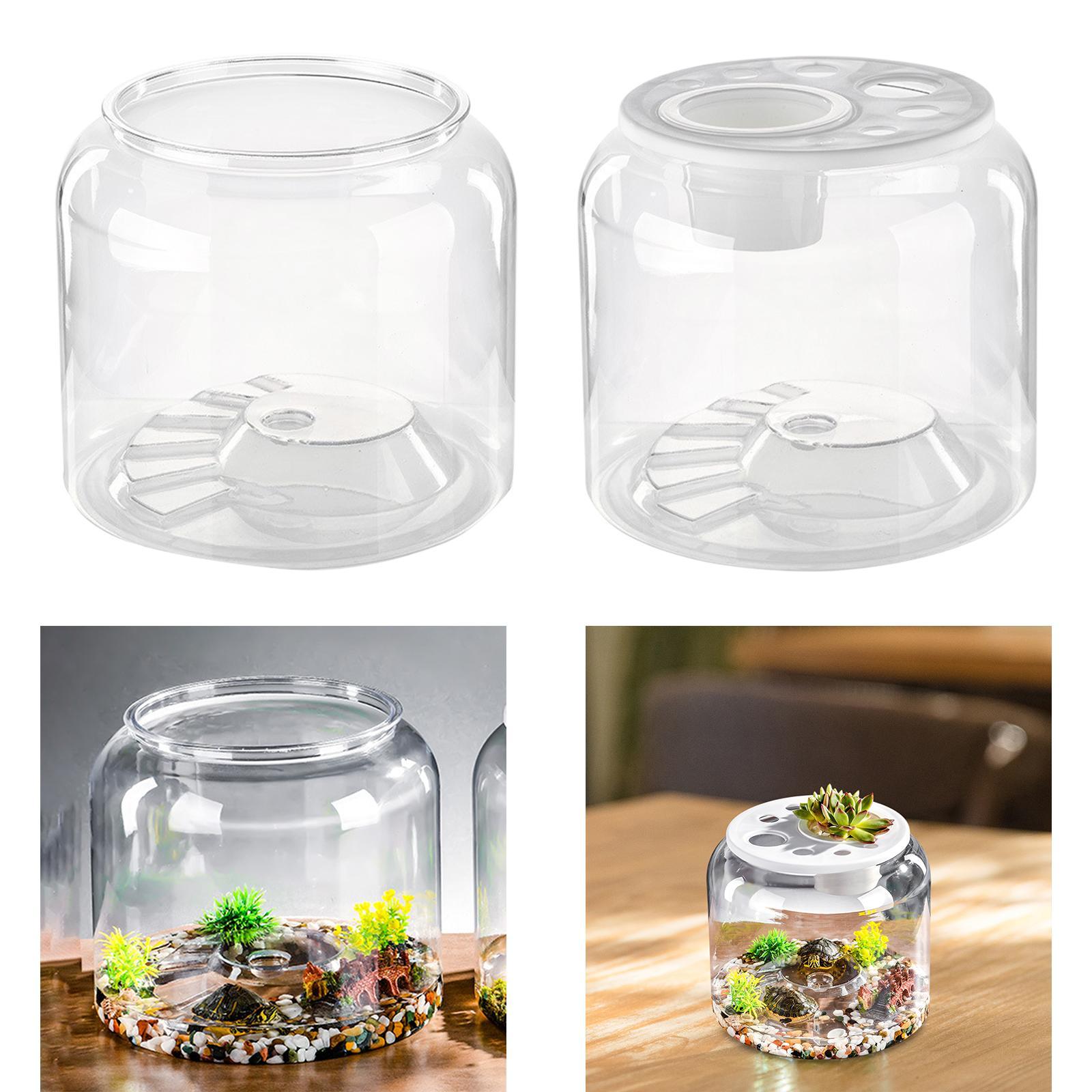 アパートの寝室や居間用の亀用テーブルトップ爬虫類飼育ケージ - Draw Fish Aquarium のレビューと価格