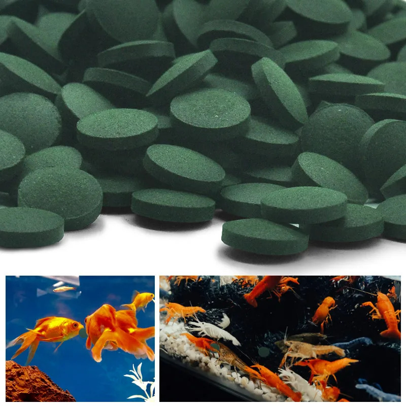 100-1500個 高純度スピルリナ錠剤 スピルリナ海藻濃縮 - Aquarium Fish Food のレビューと価格
