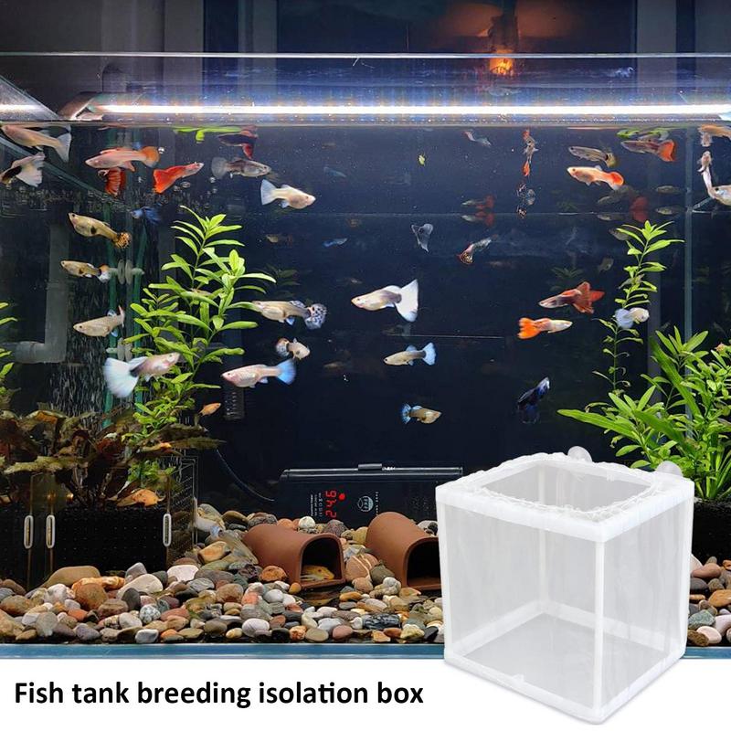 吸引付き魚飼育箱、水族館孵化器、メッシュボックス、稚魚分離ネ - Aquarium Fish Net のレビューと価格