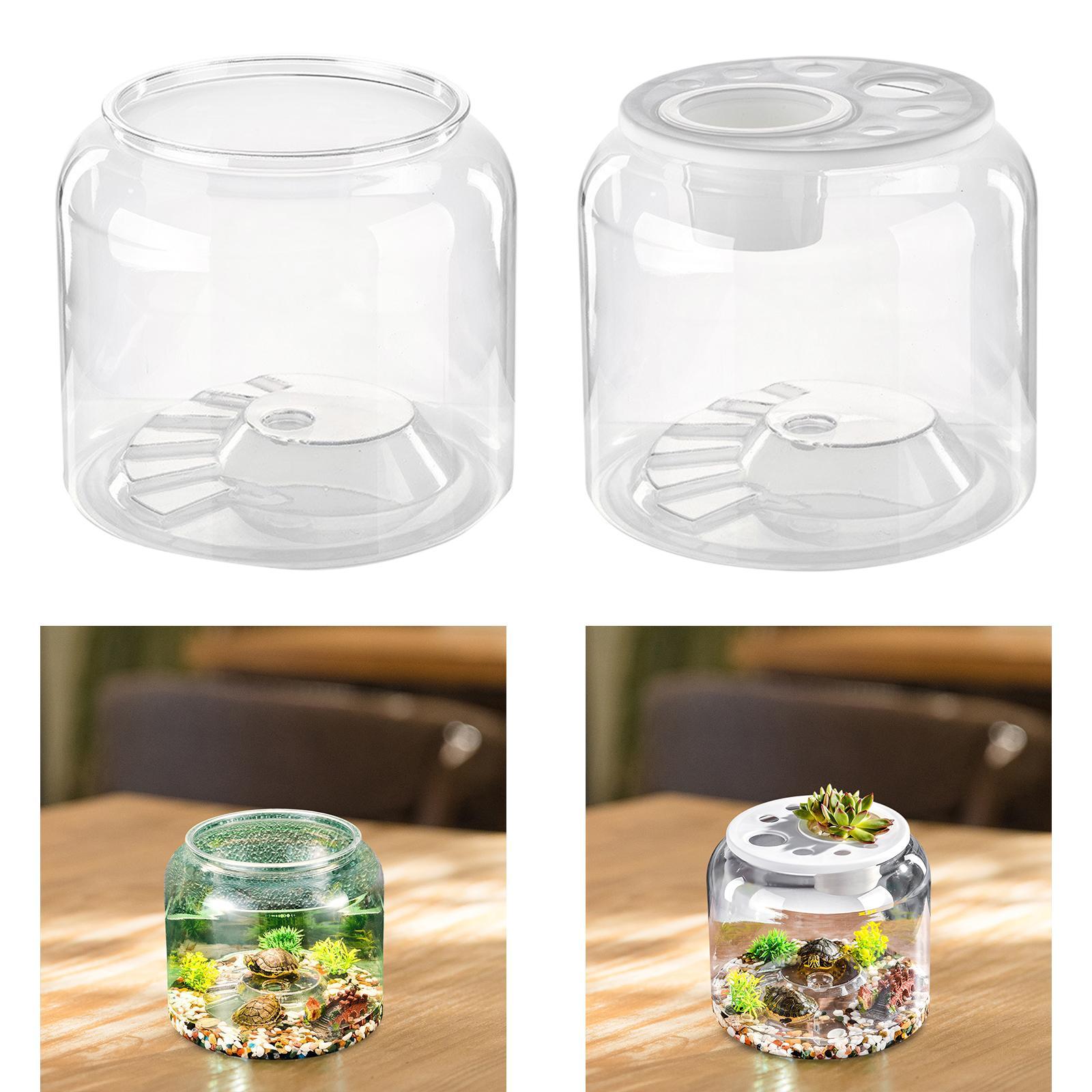 カメ用コンテナ 大容量 透明テーブルセンターピース おしゃれ - Draw Fish Aquarium のレビューと価格